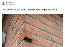 Enlace a Y se quedó tan ancho, por @CarlWinslou