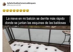 Enlace a Tiene sentido, por @BocataJamonEHM