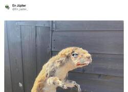 Enlace a Tiempo perdido, por @En_jupiter_