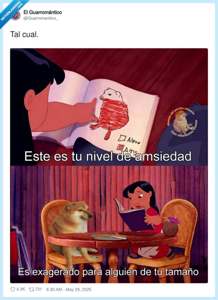 amsiedad,doge,cheems,lilo