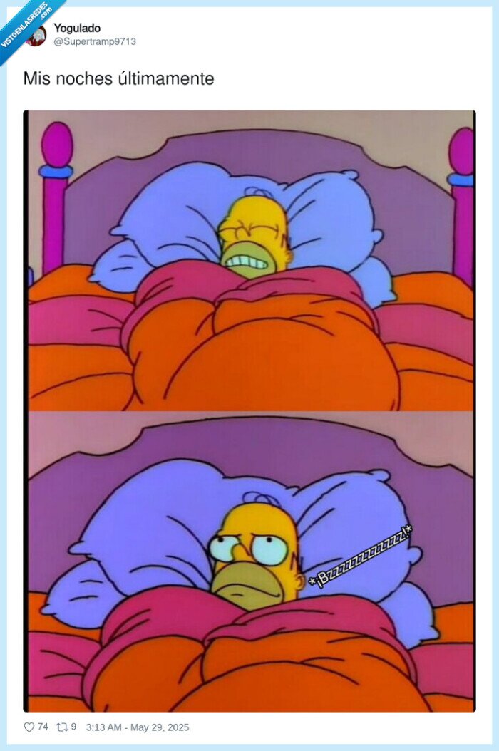 noches,homer,dormir,bzzzzz