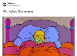 Enlace a Los mosquitos empiezan a dar por saco, por @Supertramp9713