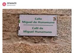 Enlace a ¡Mis hogos!, por @etfelicitofill