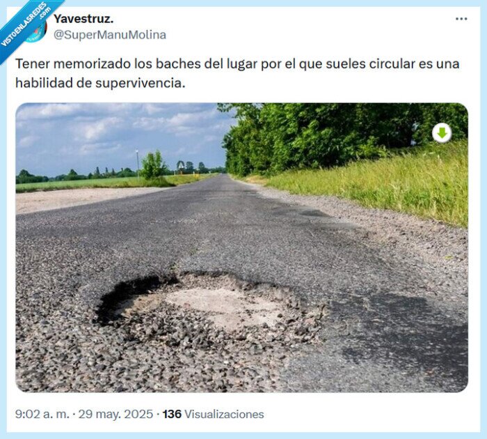 bache,supervivencia,habilidad