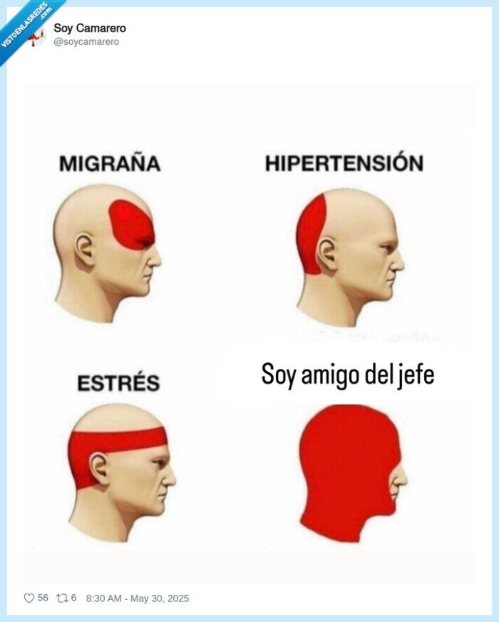 migraña,estrés,amigo,jefe
