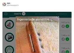 Enlace a Esa bisagra del sandwich te ha quedado de lujo