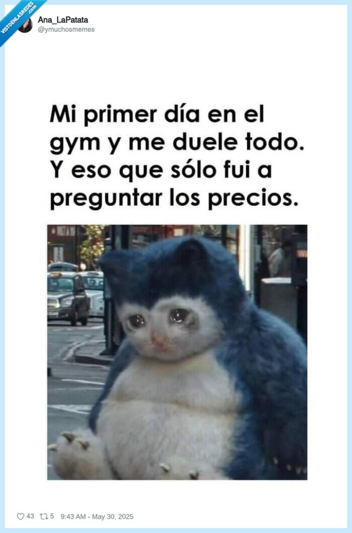 gym,precios,primer día,preguntar