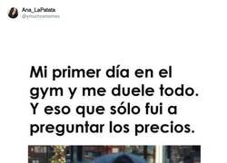 Enlace a Pues no sabes la que te espera