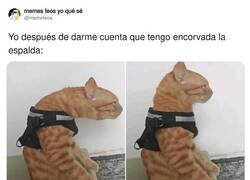 Enlace a Al minuto ya vuelves a estar encorvado, por @memefeos