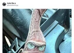 Enlace a Se ha cabreado la hebilla de mi cinturón con el peso que he cogido este año