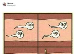 Enlace a Ups, por @susana85