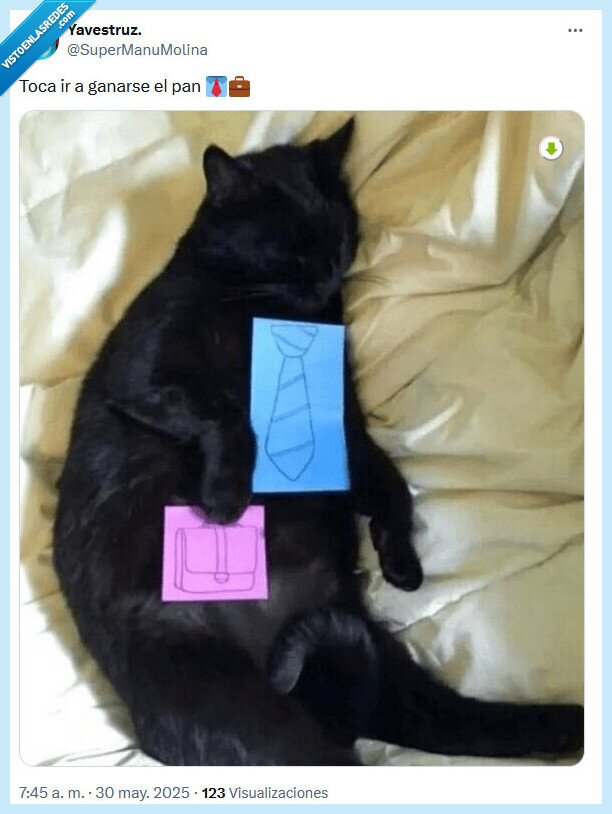 ganarse,pan,gato,trabajar