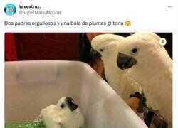 Enlace a Todas las especies son iguales por @supermanumolina