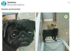 Enlace a No lo hagáis en mi cara por @supermanumolina