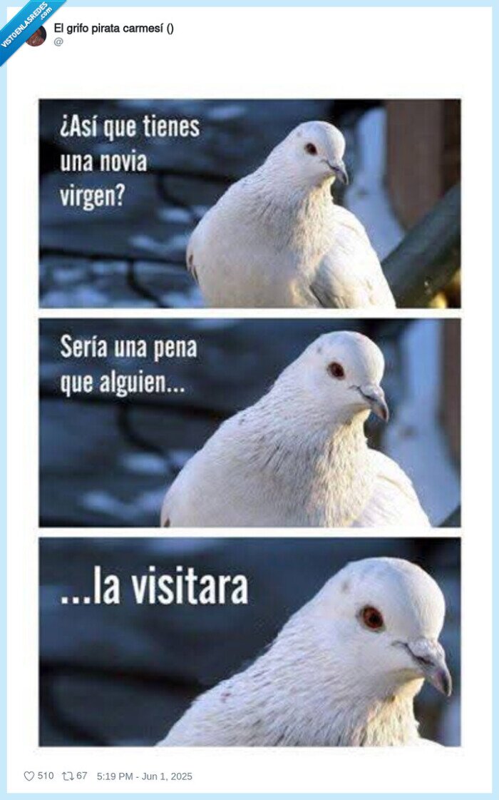 paloma,virgen maría,padre