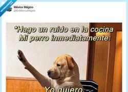 Enlace a No se pierde una