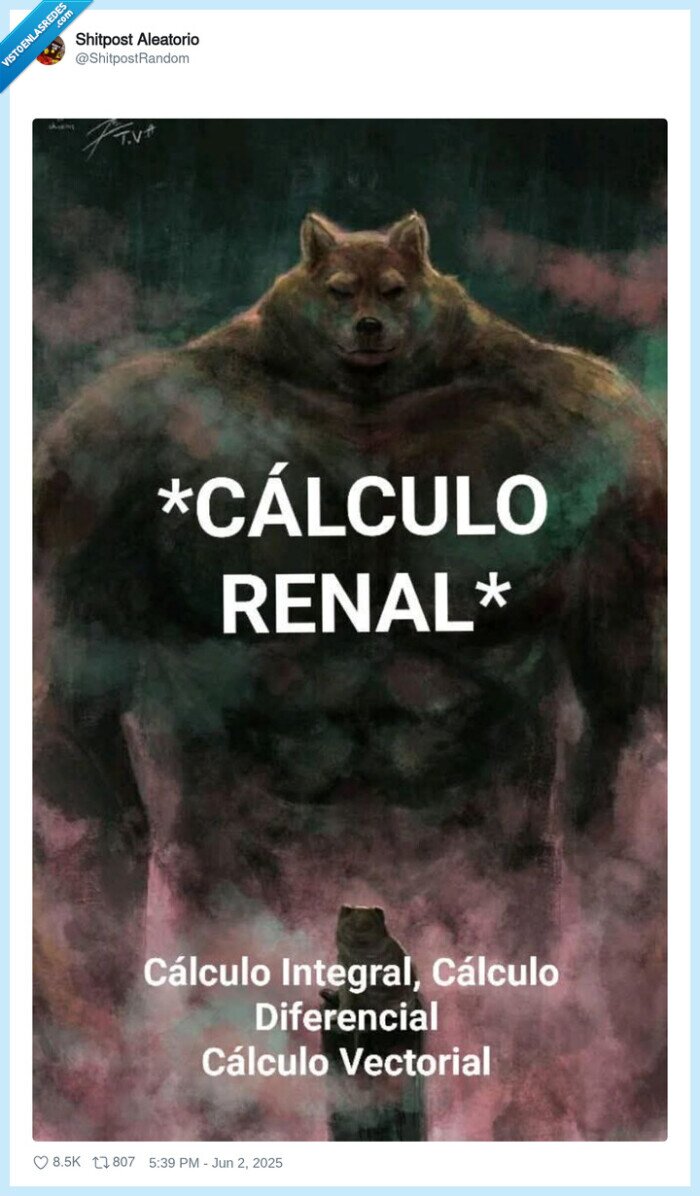 cálculo renal,integral,diferencial,vectorial