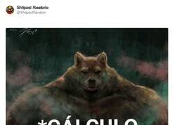 Enlace a El cálculo más importante