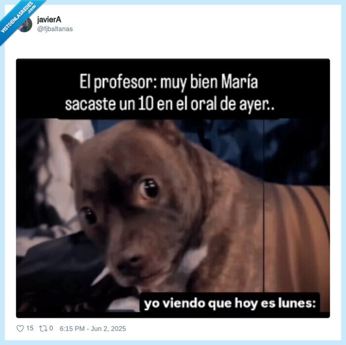 oral,examen,profesor,fin de semana