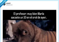 Enlace a ¿Qué hicisteis amigos? por @fjbaltanas
