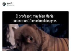 Enlace a ¿Qué hicisteis amigos? por @fjbaltanas