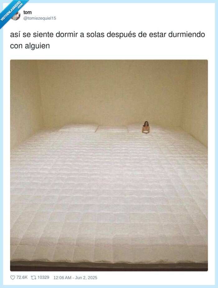 dormir,solo,compañía,cama