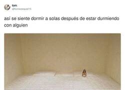 Enlace a Un vacío en mi interior y en mi cama, por @tomiezequiel15
