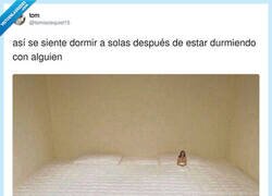 Enlace a Un vacío en mi interior y en mi cama, por @tomiezequiel15