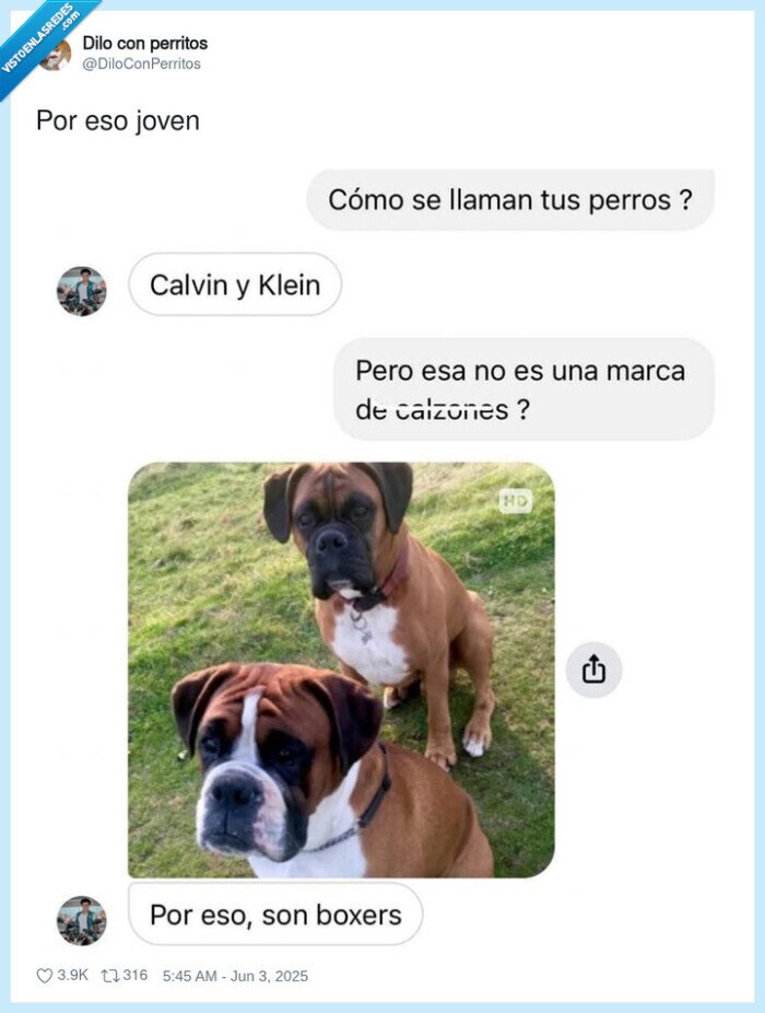 boxer,calvin,klein,calzoncillos