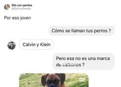 Enlace a Me parece sublime, por @DiloConPerritos