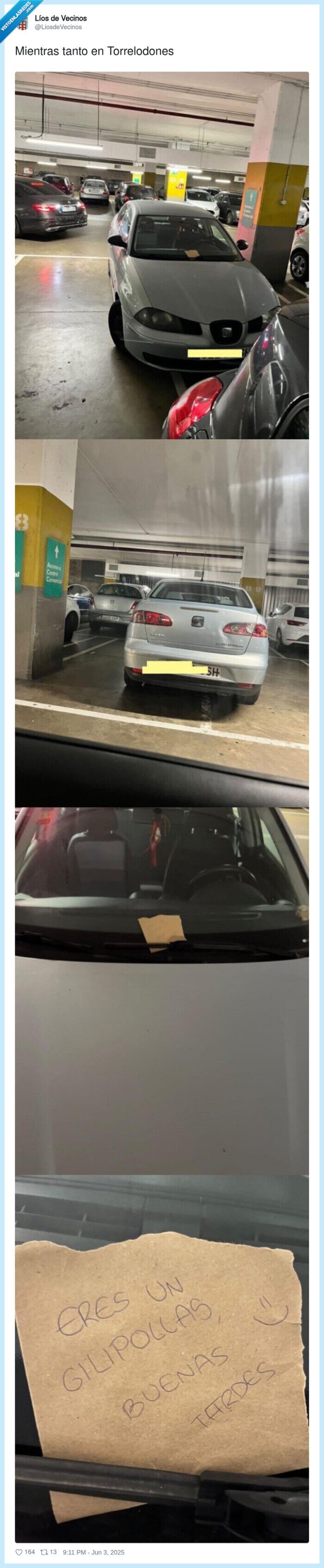 aparcar,parking,tonto,lineas