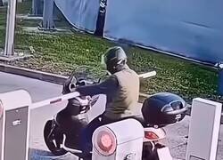 Enlace a En todos los pueblos hay un tonto