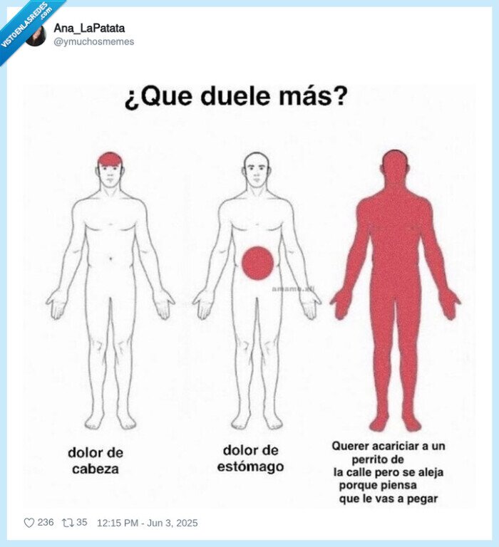 doler,cuerpo,acariciar,perrito