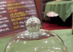 Enlace a Crueldad en su máxima expresión, por @anadeaustria_