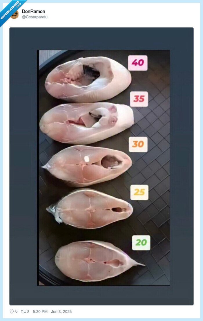 pescado,merluza,cortes,edad,chirri