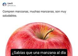 Enlace a Infalible, por @Ana9Lisa