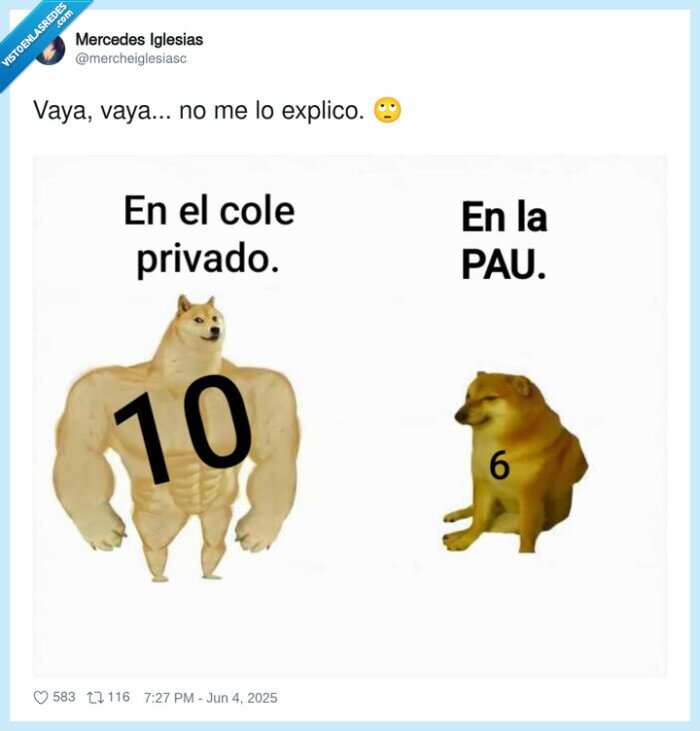 cheems,doge,pau,notas