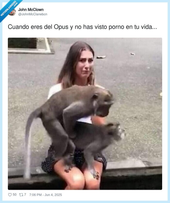 monos,fornicar,opus,falda