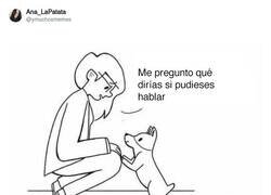 Enlace a Pues para eso, mejor no hables