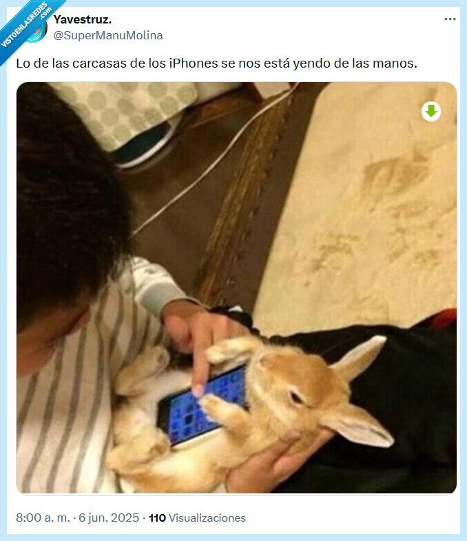 carcasa,iphones,conejo