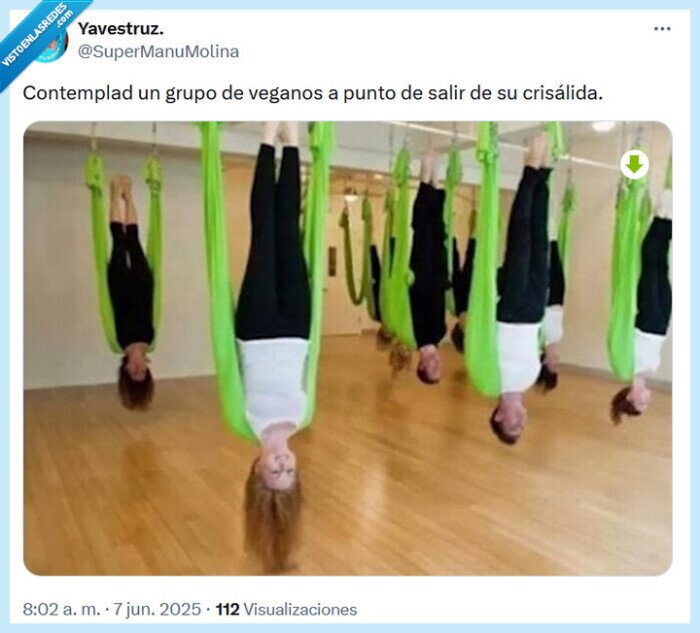 veganos,crisálida,salir