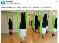 Enlace a De la tierra para la tierra por @supermanumolina