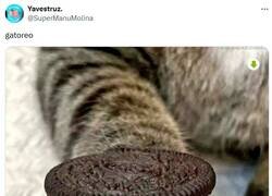 Enlace a ¡Me lo como! *w* por @supermanumolina