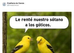 Enlace a Quién tiene vivienda hoy en día, tiene un tesoro