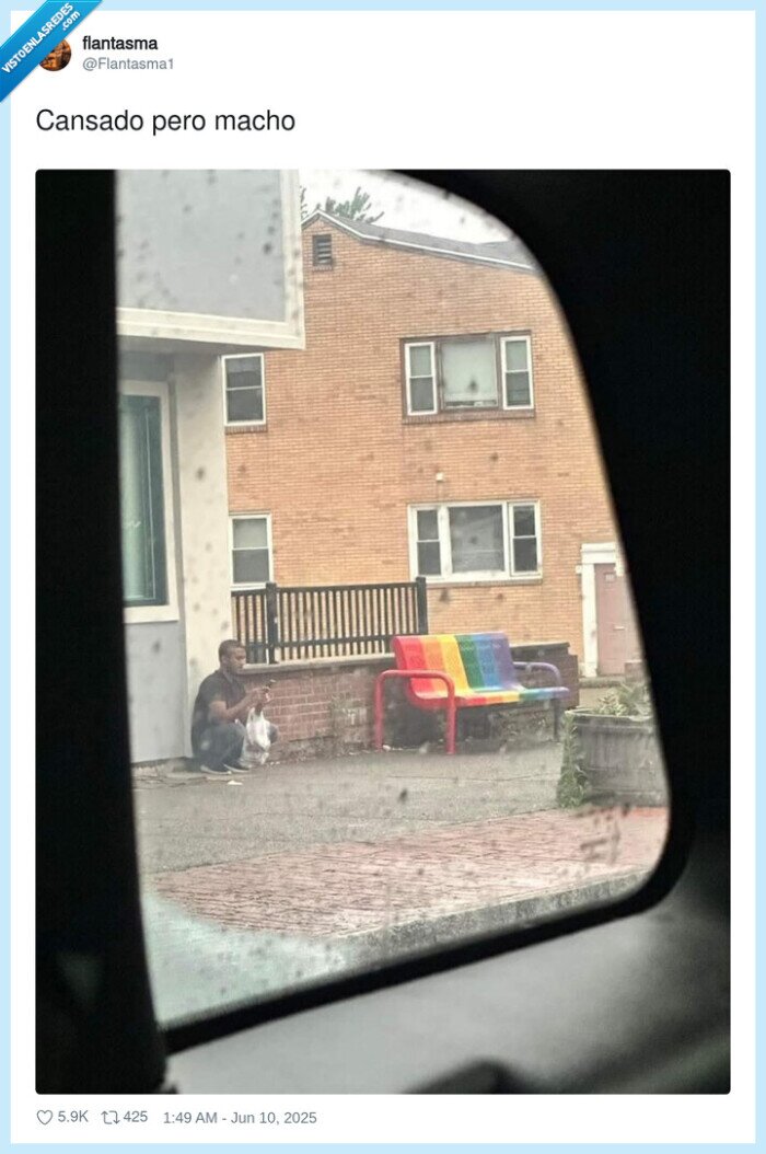 banco,bandera,gay,lgtbiq,coloringos