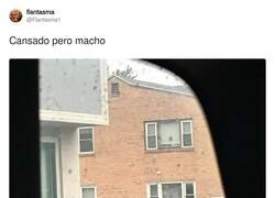 Enlace a Un señoro con principios, por @Flantasma1