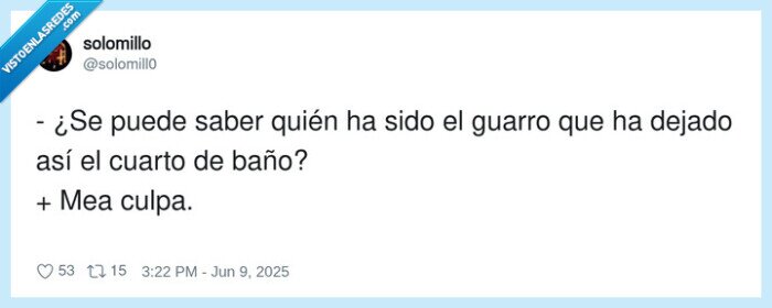 cuarto de baño,meado,mea culpa