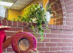 Enlace a A partir de los 40 ya no hace ni p*ta gracia