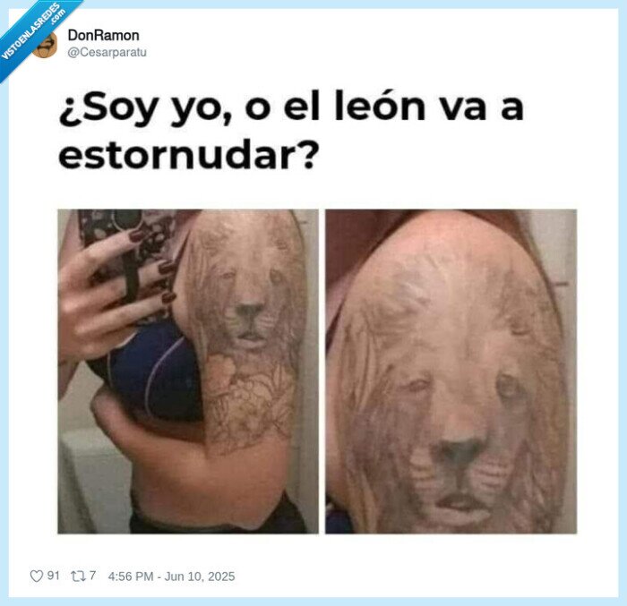 león,derp,tatuaje,estornudar