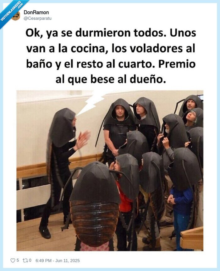 reunion,cucaracha,molestar